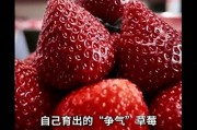 草莓国产在线,品味本土鲜甜，共筑绿色食尚