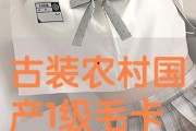 国产一级毛卡片免费,探索中国原创毛绒玩具的魅力之旅